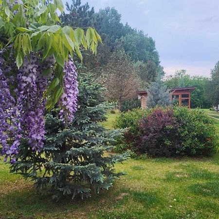 Villa Gyömbér Tanya Ásotthalom Exterior foto