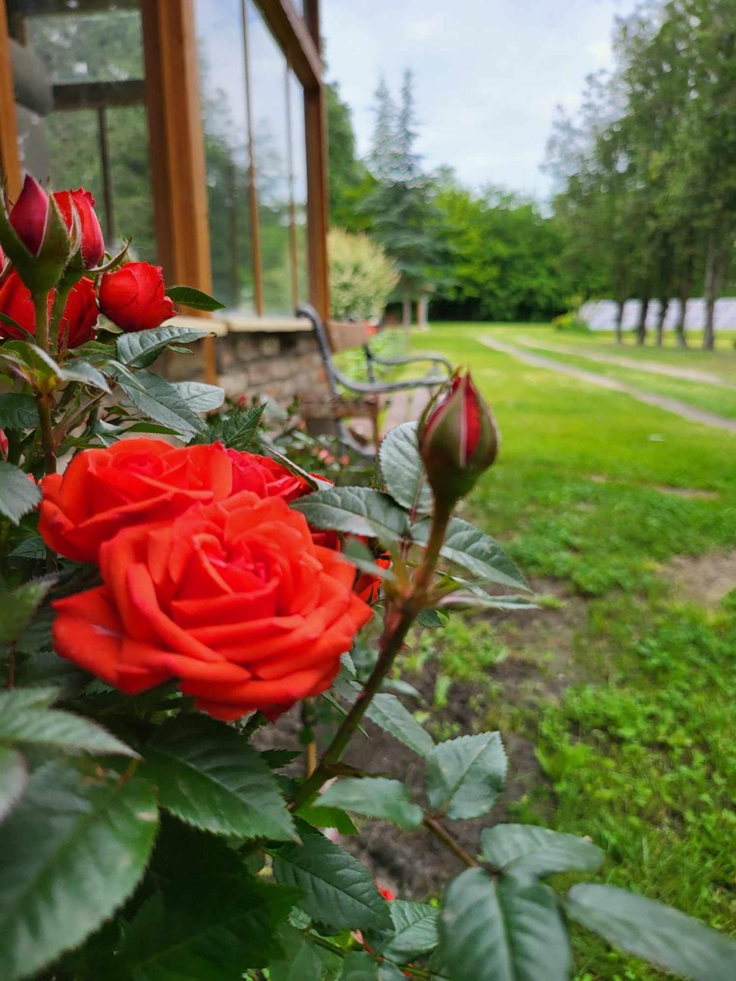 Villa Gyömbér Tanya Ásotthalom Exterior foto