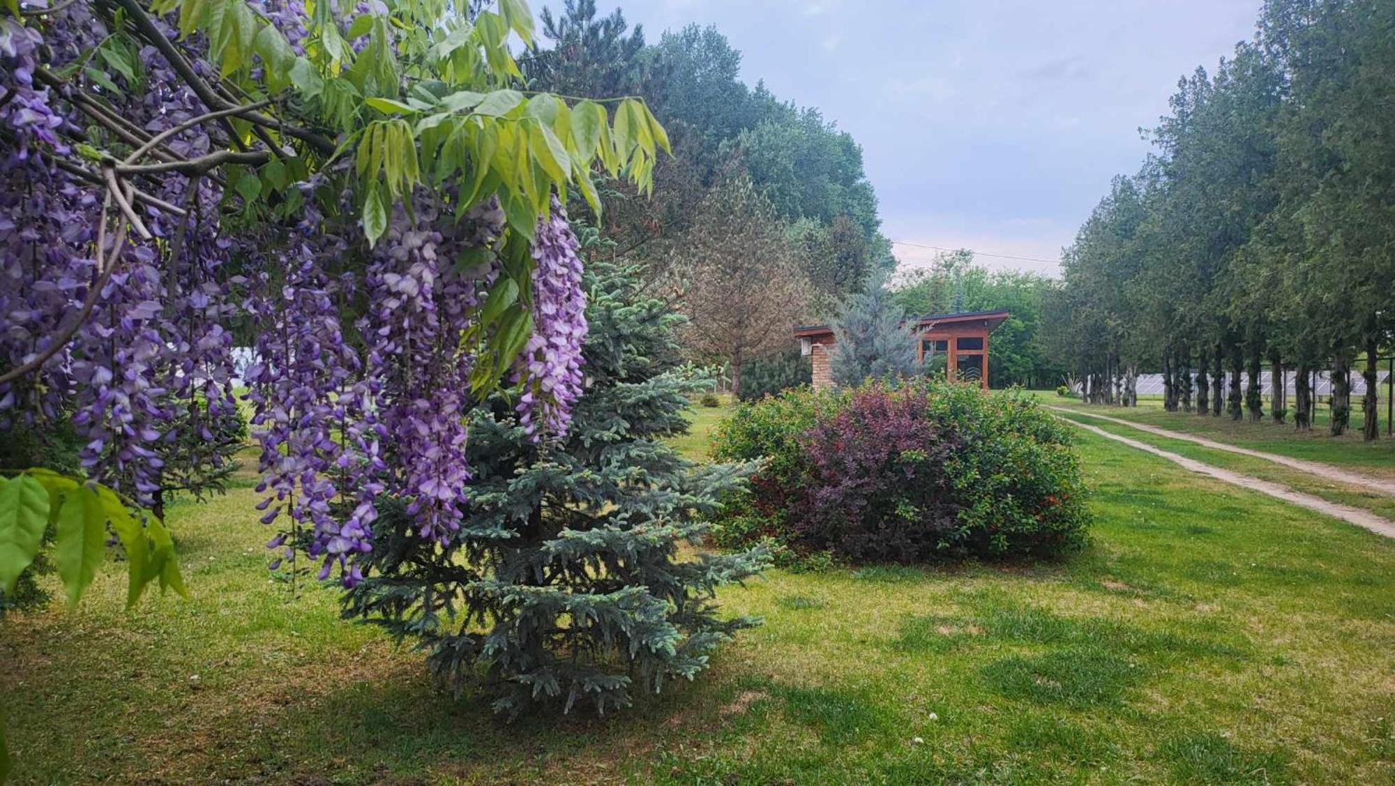 Villa Gyömbér Tanya Ásotthalom Exterior foto