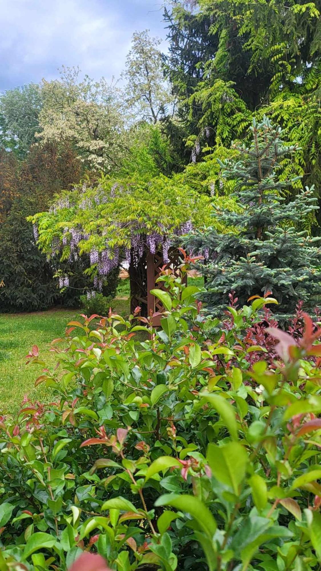 Villa Gyömbér Tanya Ásotthalom Exterior foto
